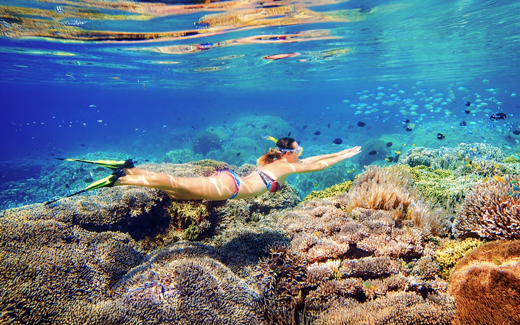 Snorkeler exploring coral reef on Fitzroy Island day trip from Cairns.