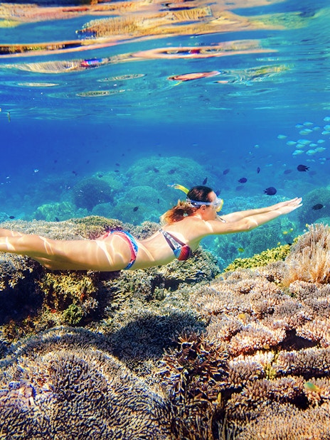 Snorkeler exploring coral reef on Fitzroy Island day trip from Cairns.