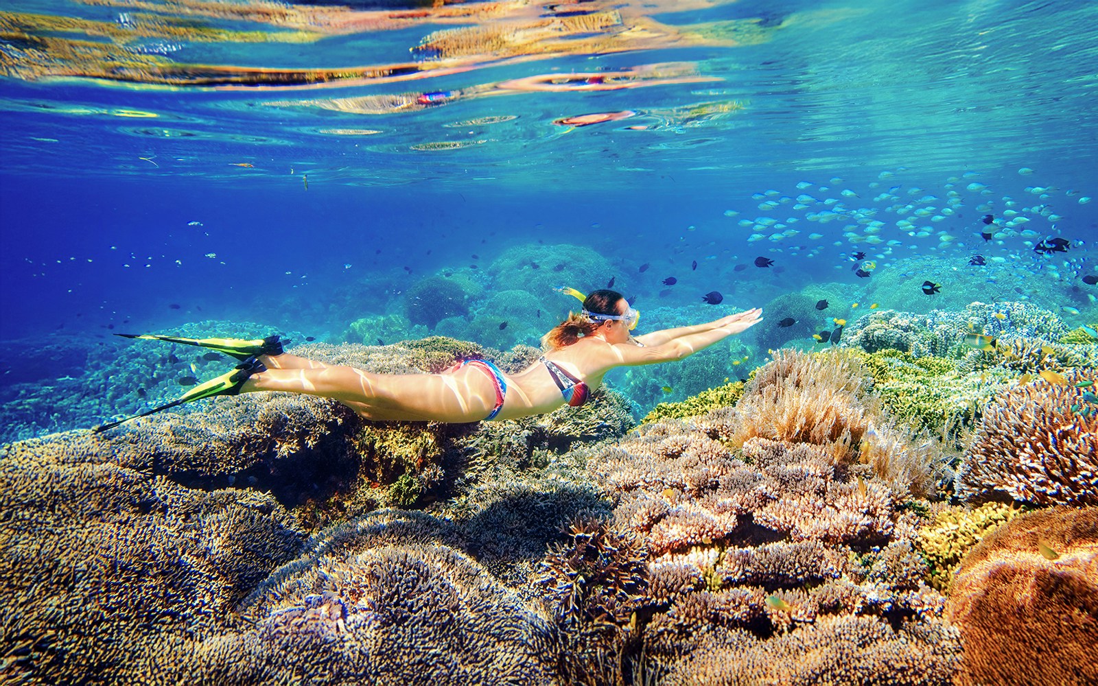Snorkeler exploring coral reef on Fitzroy Island day trip from Cairns.