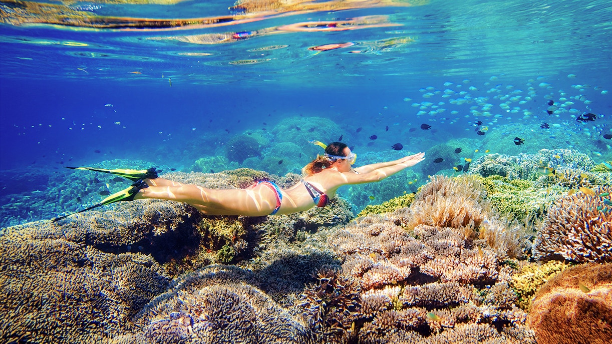 Snorkelers exploring coral reefs