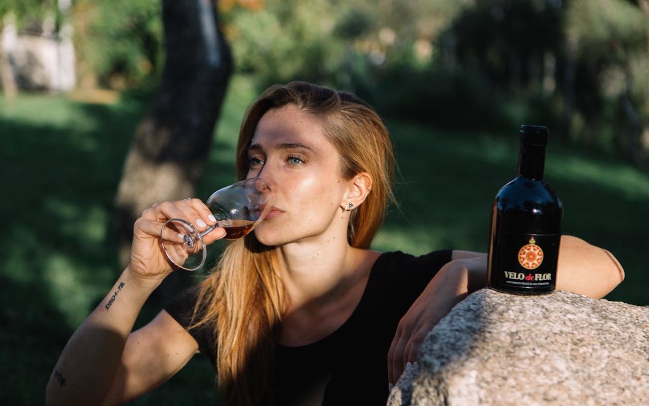 gallura winery guided tour with local wine tasting and sardinian appetizers in olbia-2