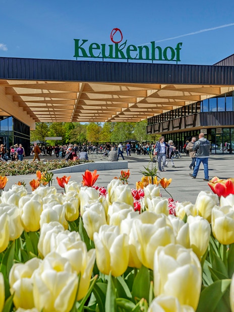 Keukenhof entrance with colorful tulips and visitors, Amsterdam tour.