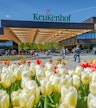 Keukenhof