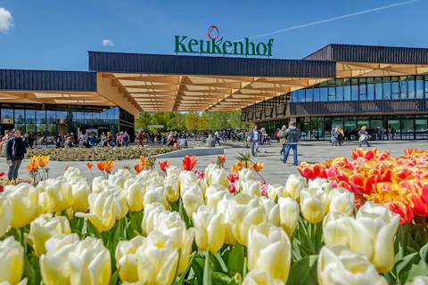 Führungen