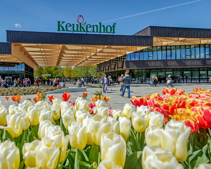 Keukenhof Entry Tickets