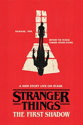 Stranger Things: The First Shadow