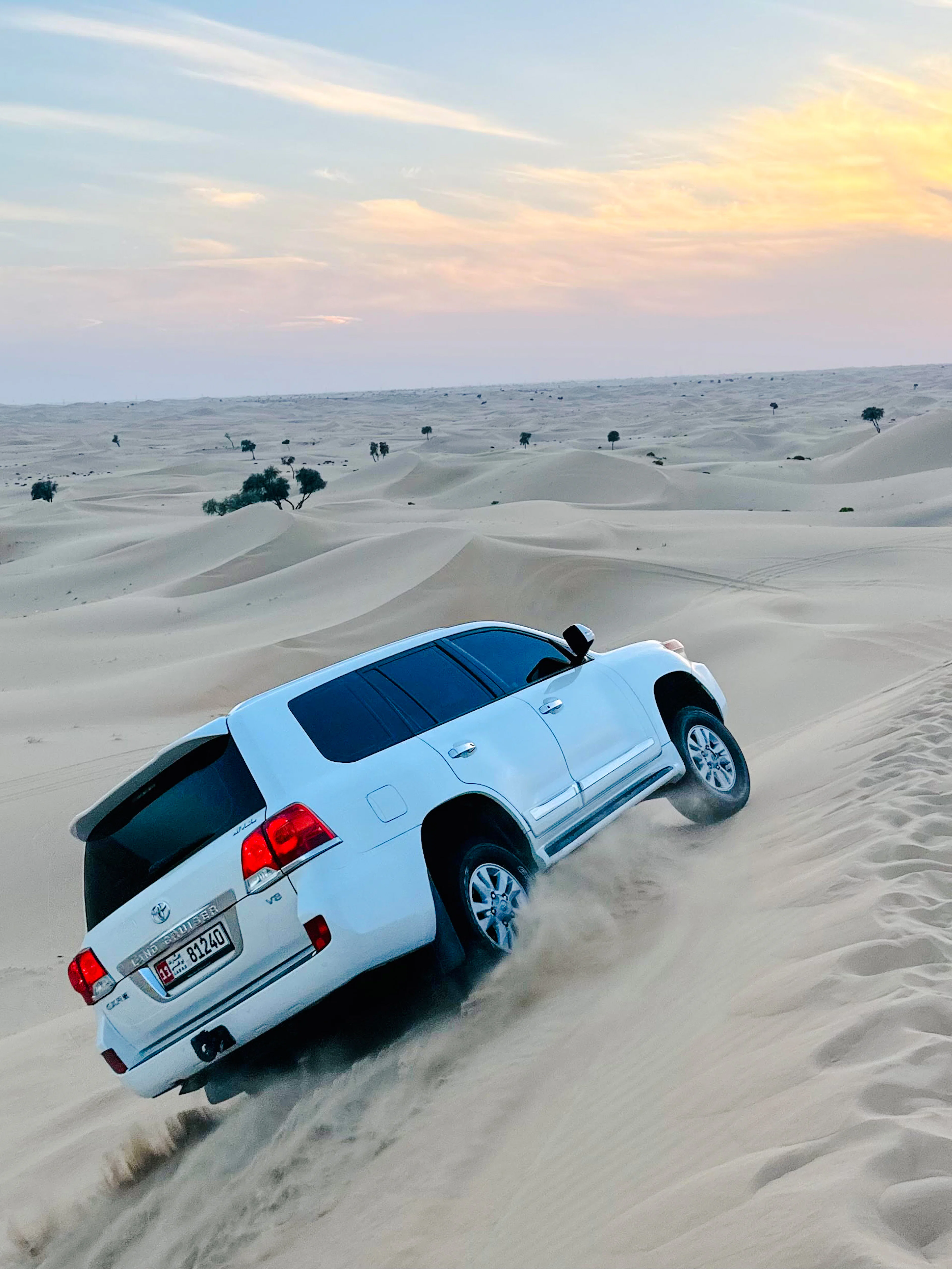 abu dhabi evening desert safari with 4x4 dune bashing, camel ride, bbq dinner and live shows-1