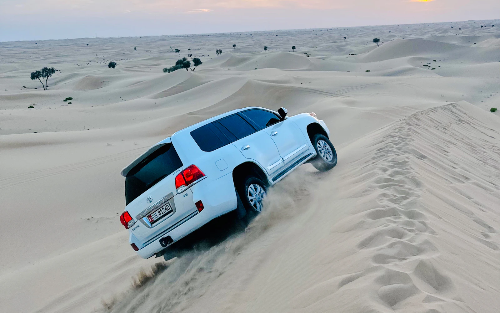 Abu Dhabi Desert Safari with 4x4 Dune Bashing, Camel Ride & BBQ Dinner