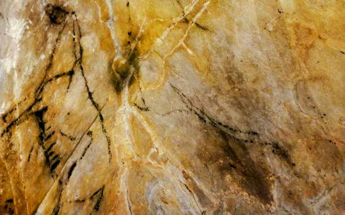 Cave drawings on rock surface in Castillo Caves, Spain.