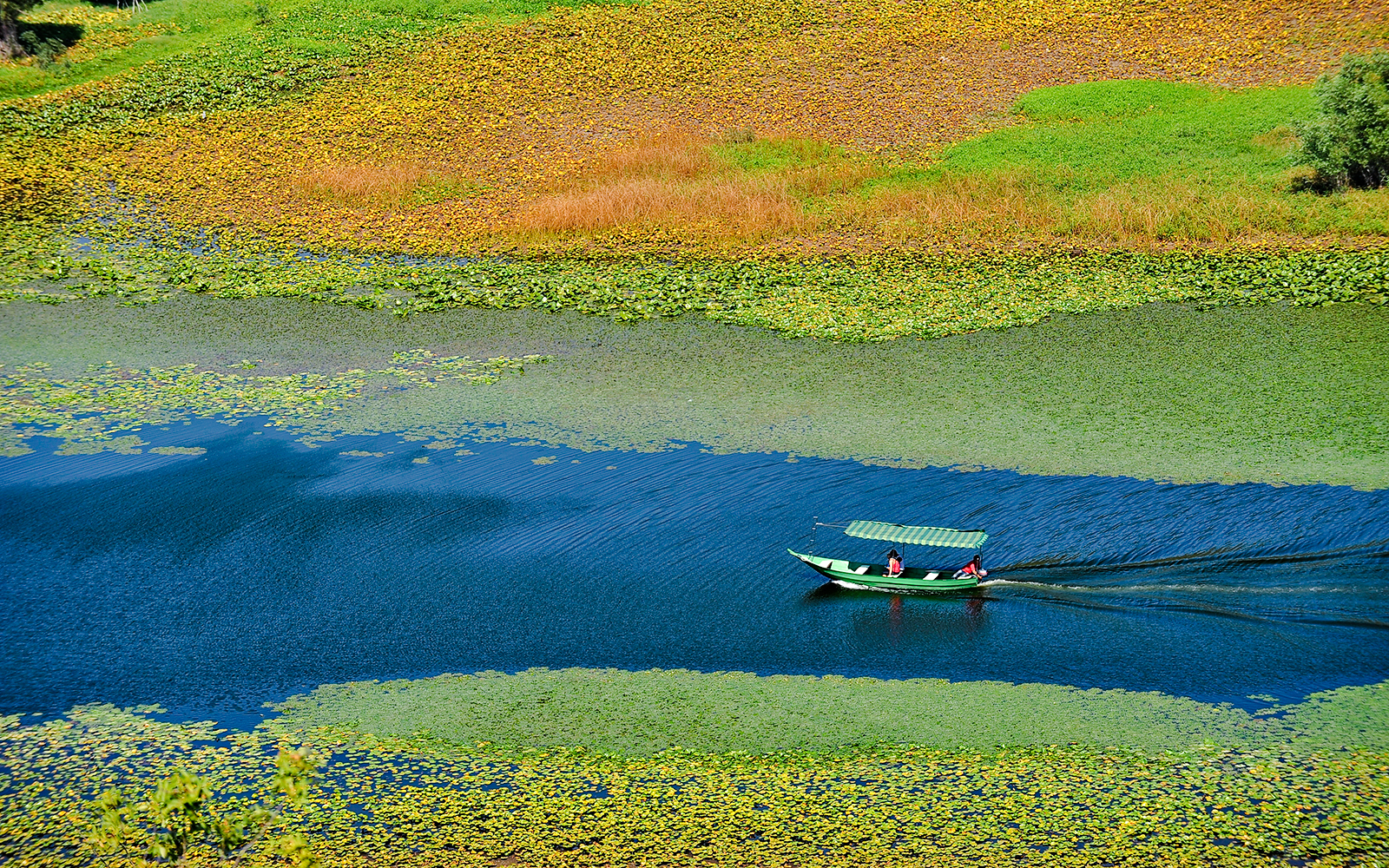 Boat on Skadar Lake surrounded by vibrant greenery, Montenegro.