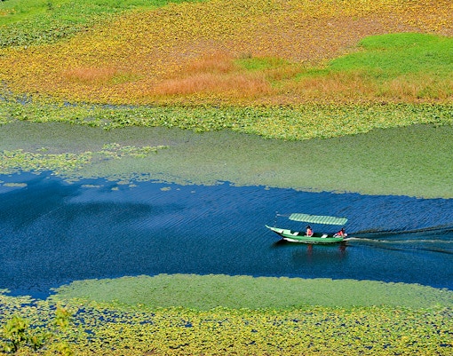 Boat on Skadar Lake surrounded by vibrant greenery, Montenegro.