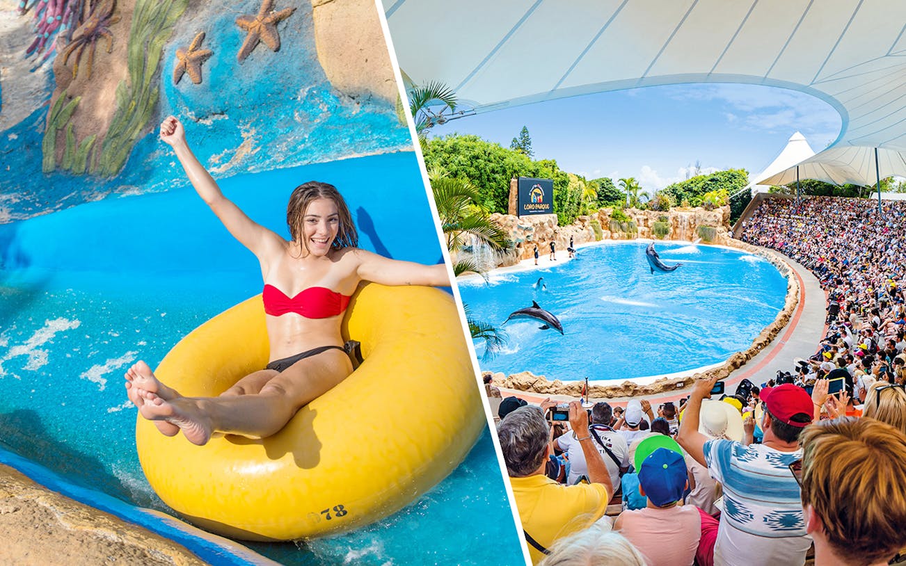 Woman enjoying water slide at Aqualand Costa Adeje; dolphin show at Loro Park.