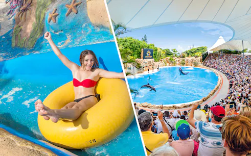Woman enjoying water slide at Aqualand Costa Adeje; dolphin show at Loro Park.