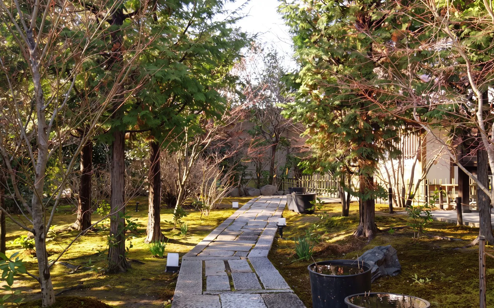zen-meditasjon og tur i kyoto med shojin-lunsj ved et historisk tempel-11