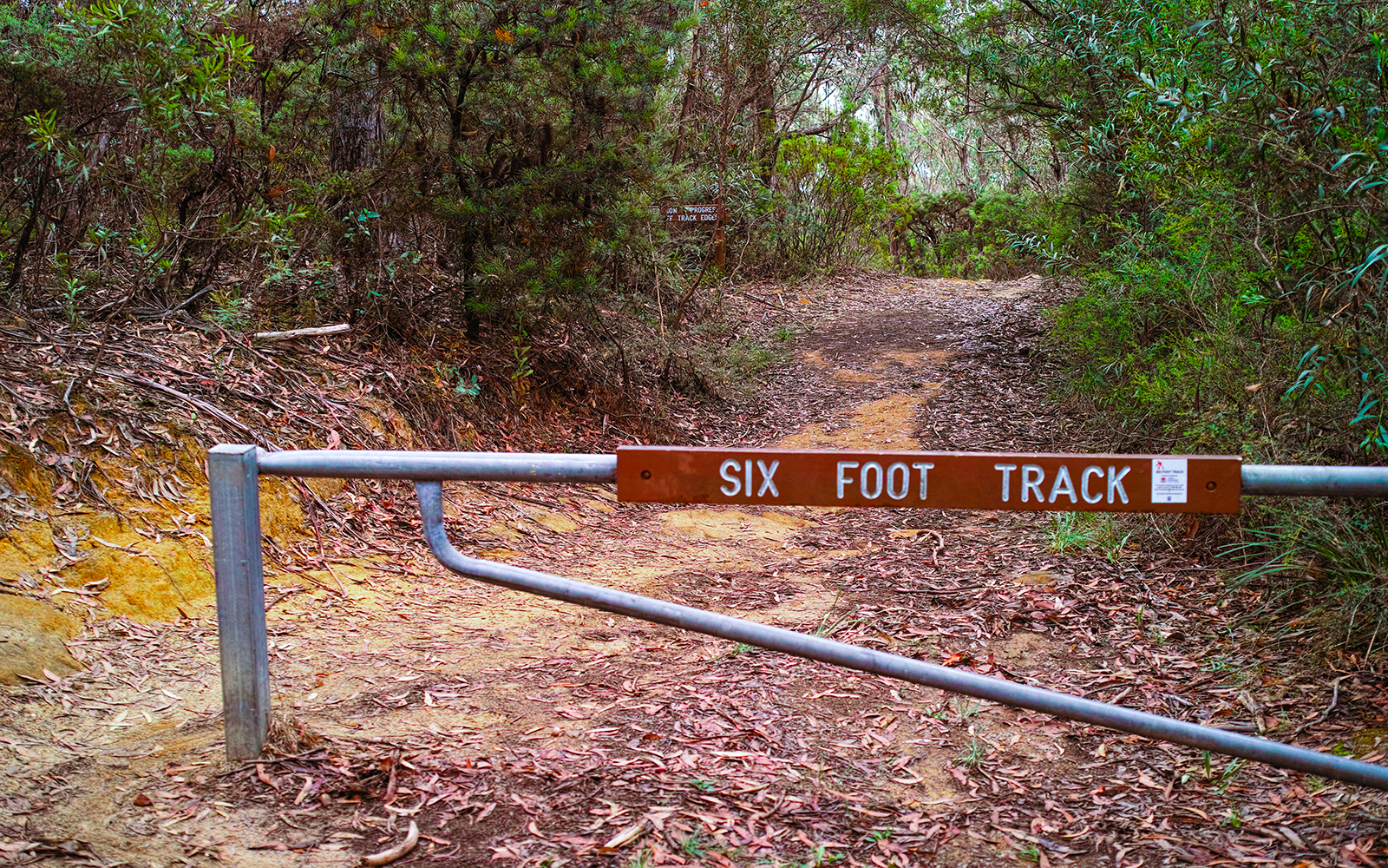 Six foot track, Blue mountains