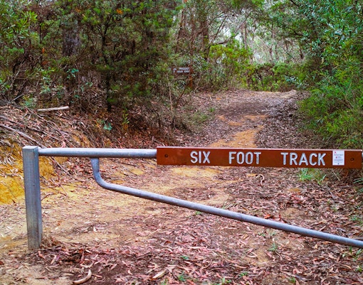 Six foot track, Blue mountains
