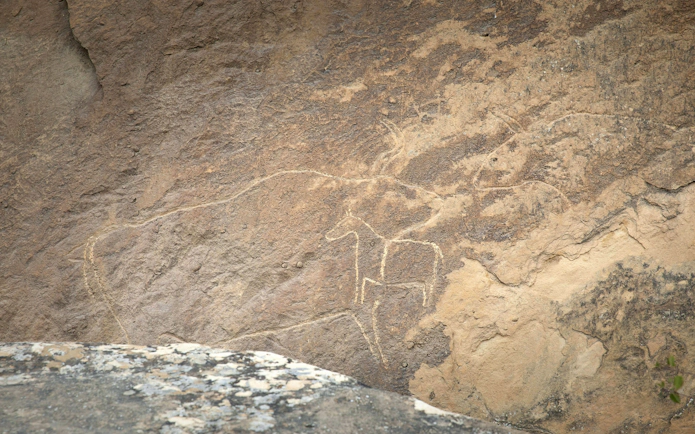 Prehistoric petroglyphs depicting animals at Gobustan, Baku, Azerbaijan.