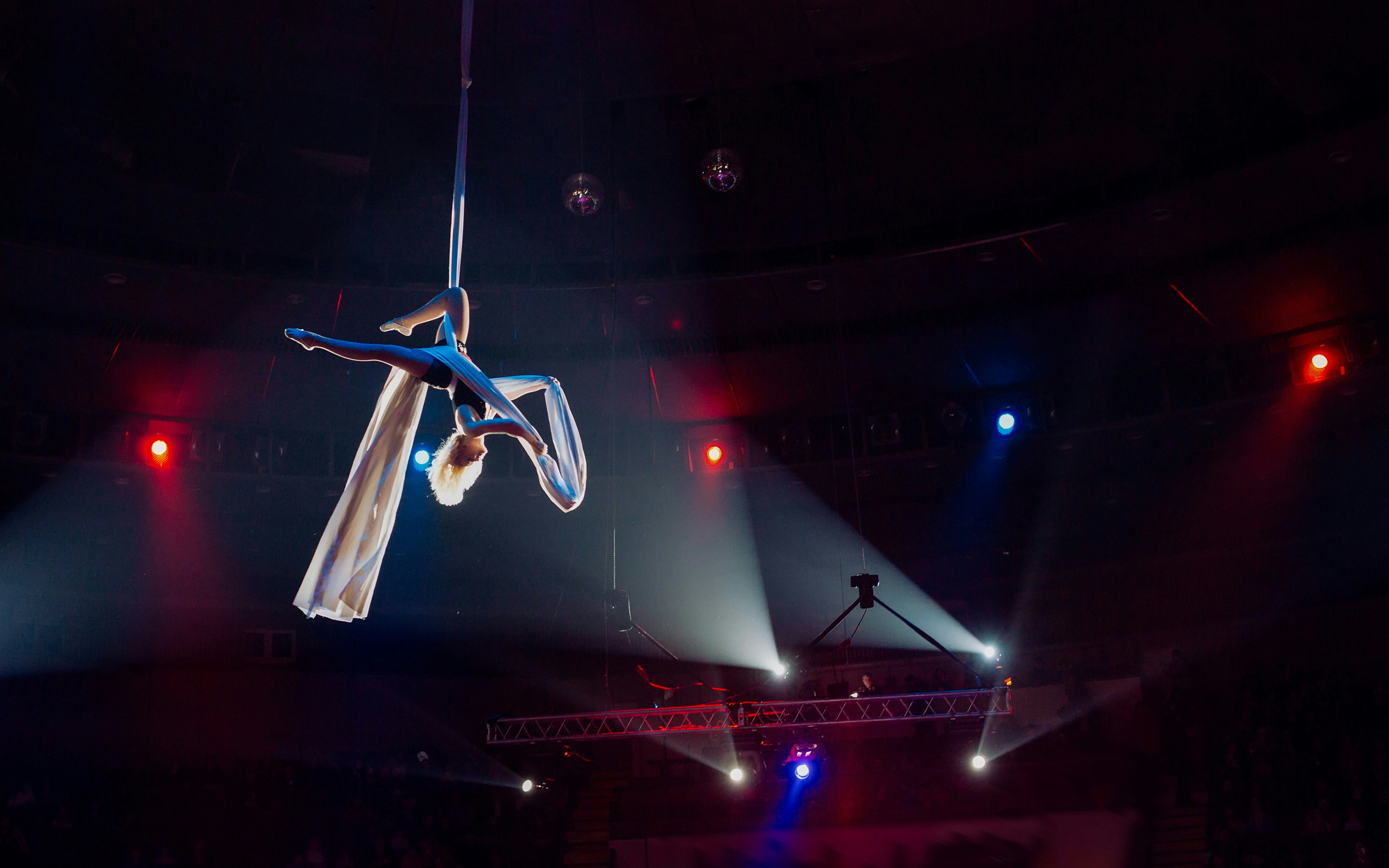 Aerial acrobat performing on silk ropes under stage lights.
