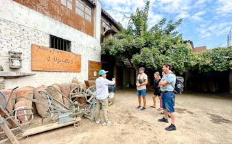 lima culinary history and local markets food tour with vineyard visit-2