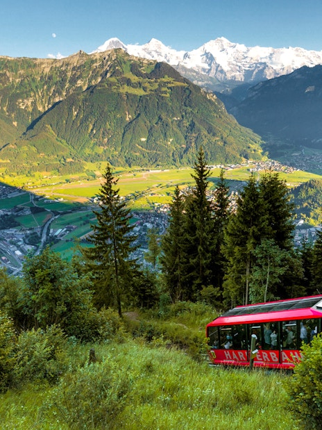 Harder Kulm funicular ascending through lush forest with Swiss Alps in the background.