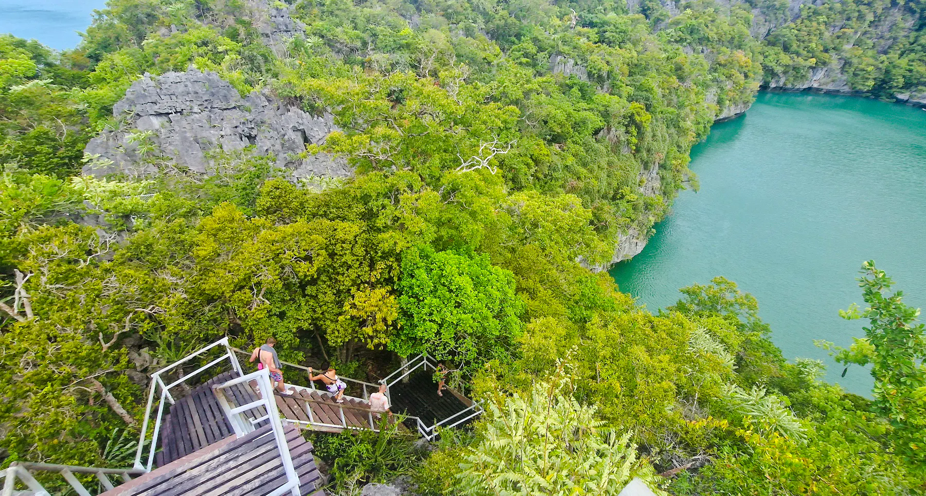Visitors descending stairs through lush greenery in Ang Thong National Marine Park, Koh Samui.