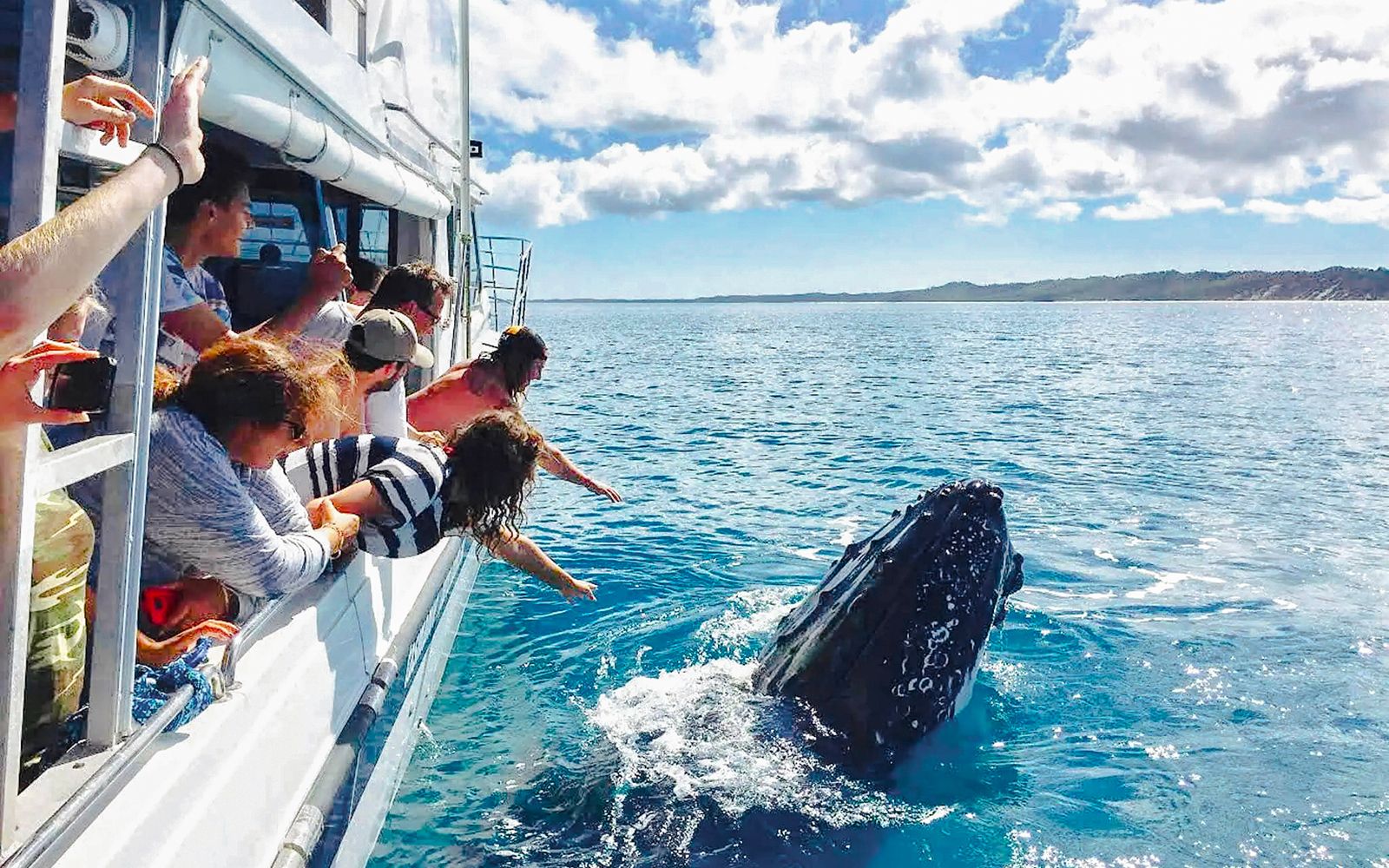 Tourists on a boat watching a whale near Fraser Island, K'gari.