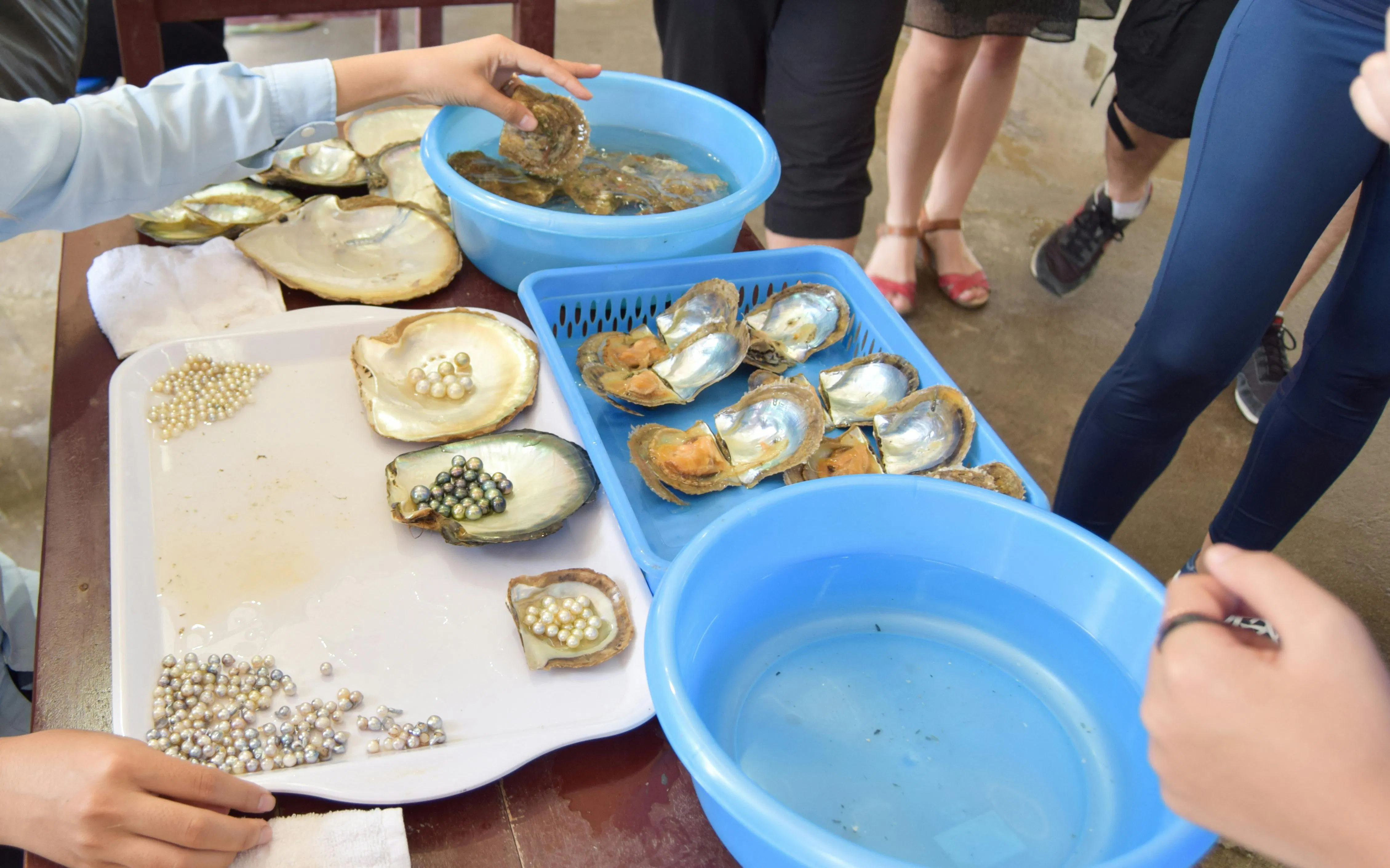 Pearl Farm Exhibition Centre & Museum