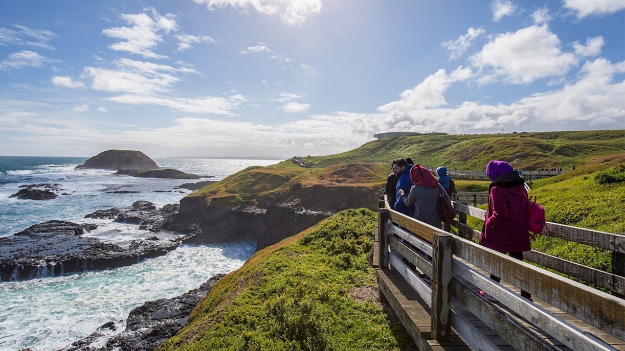 Phillip Island tours - Best time to visit Phillip Island