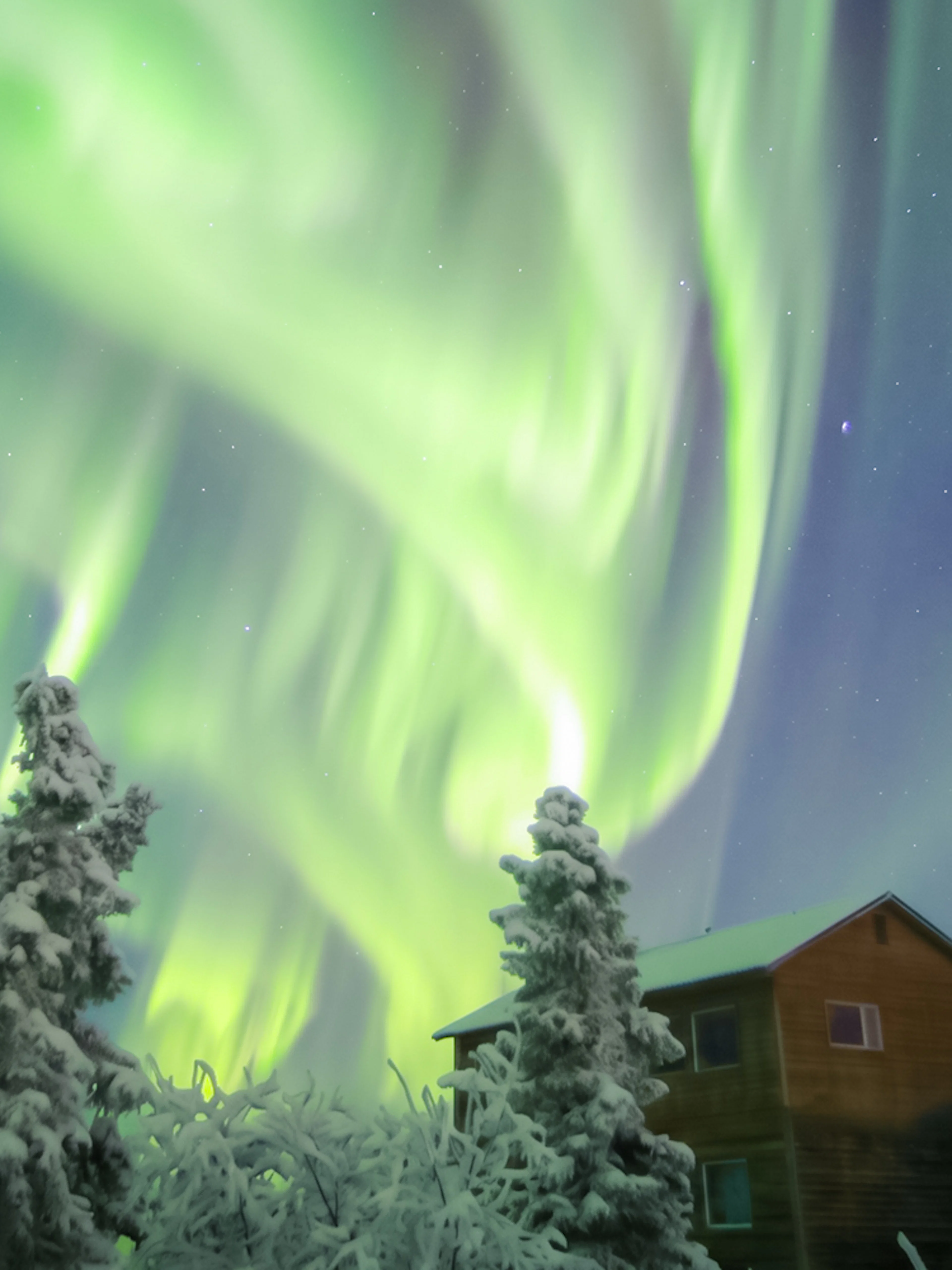 Aurora Borealis over snowy lodge and trees, Northern Lights Alaska.