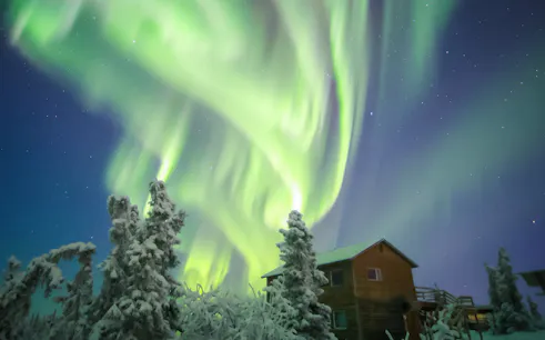Aurora Borealis over snowy lodge and trees, Northern Lights Alaska.