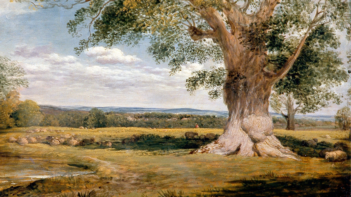 national gallery tickets