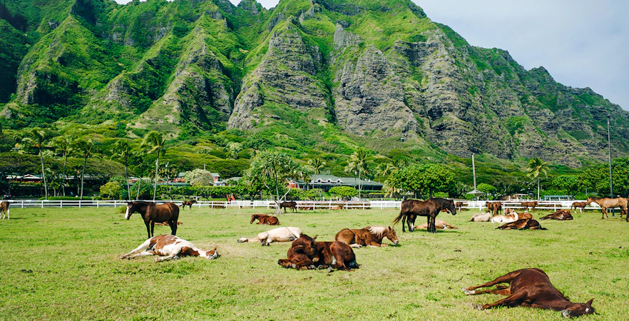 When should you pick your horseback tour?