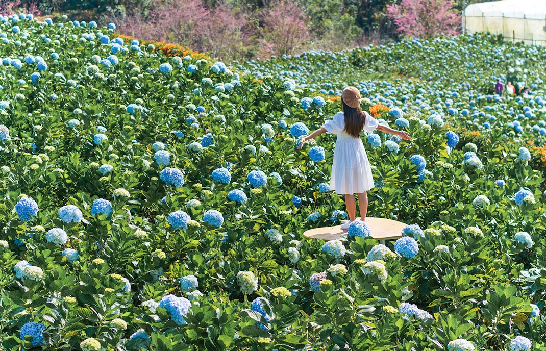 Dalat Hop-on Hop-off