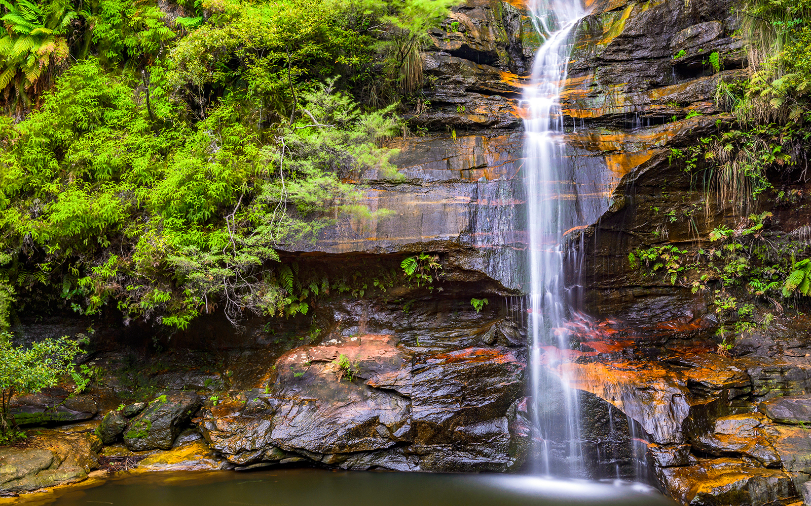 Blue Mountains tickets