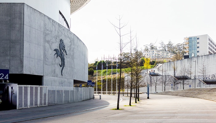 Fans cheering at a football match in Dragon Stadium, Porto.