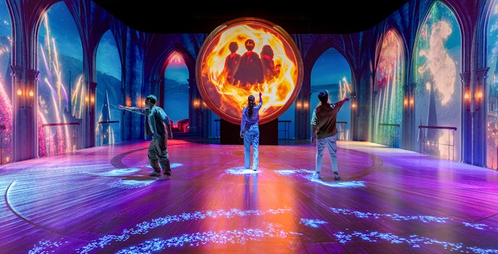 Harry Potter Visions of Magic