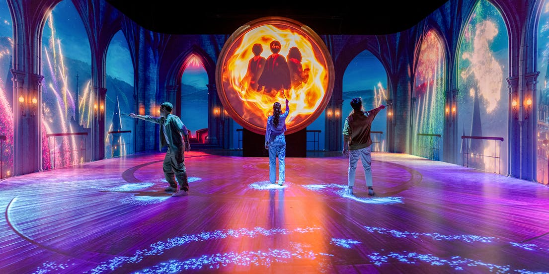 Гарри Поттер Видения магии