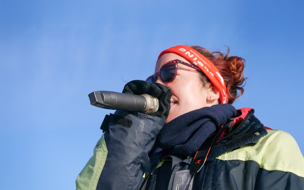 Whale watching guide explaining marine life to guests on a boat in Reykjavik.