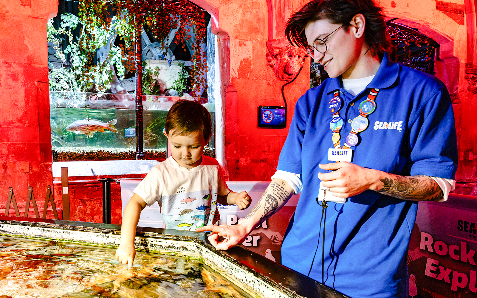 Child interacting with touch pool at SEA Life Brighton with staff guidance.