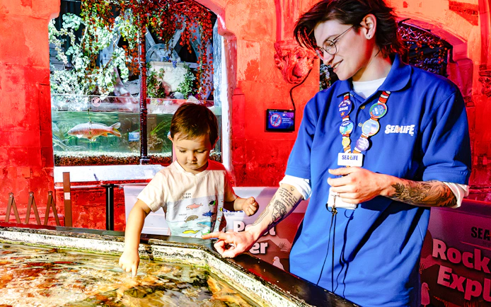 Child interacting with touch pool at SEA Life Brighton with staff guidance.