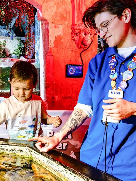 Child interacting with touch pool at SEA Life Brighton with staff guidance.