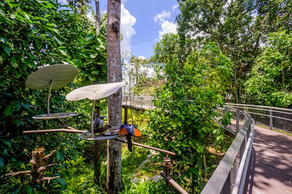 tickets to bird paradise in singapore-4