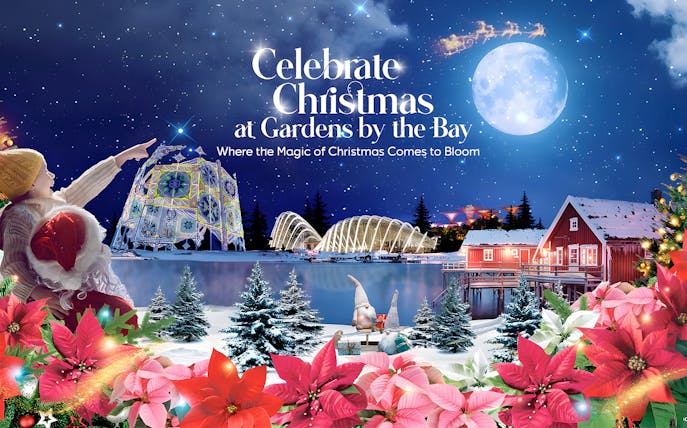 Gardens by the Bay Christmas display with Supertree Observatory and festive decorations.