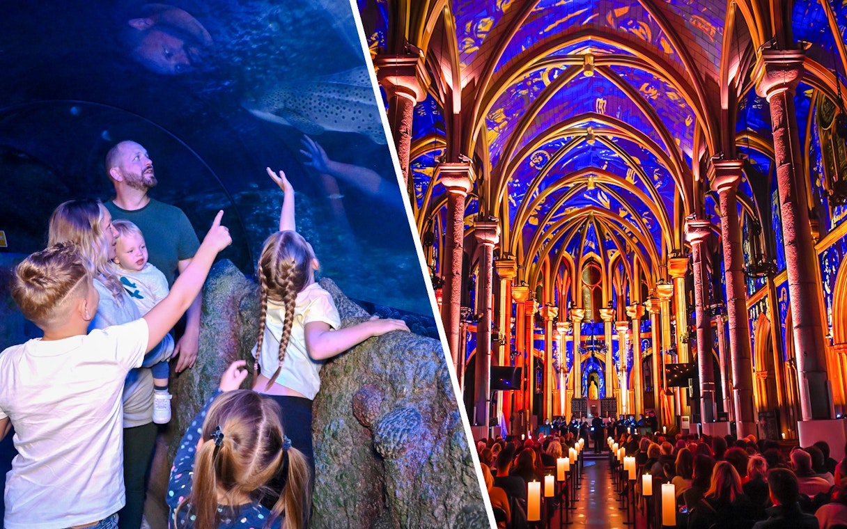 Guests exploring SEA Life Manchester and the illuminated interior of Manchester Cathedral at LUMINISCENCE 360° Show.