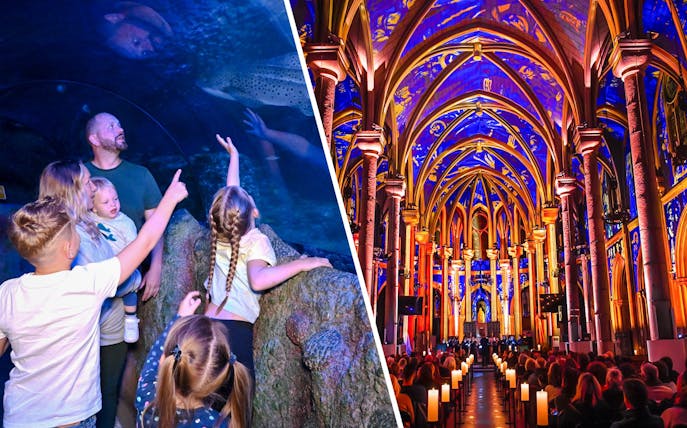 Guests exploring SEA Life Manchester and the illuminated interior of Manchester Cathedral at LUMINISCENCE 360° Show.