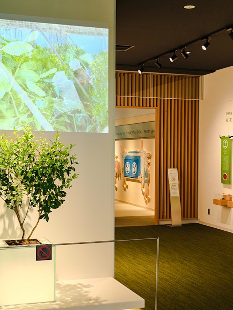 uji, kyoto: toegang tot het theemuseum met een matcha grind & brew experience-1