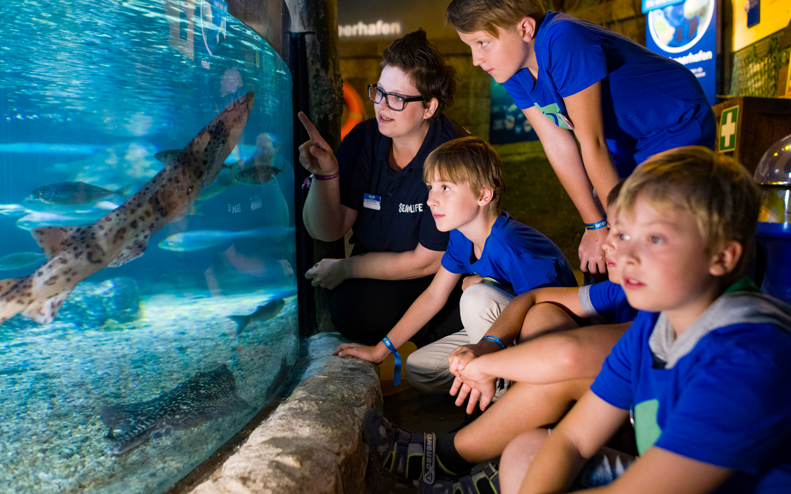 Tips to note when visiting SEA LIFE Timmendorfer Strand