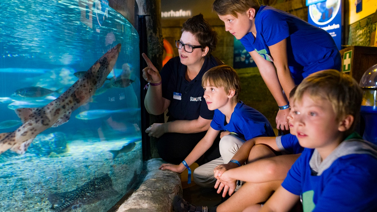 Tips to note when visiting SEA LIFE Timmendorfer Strand