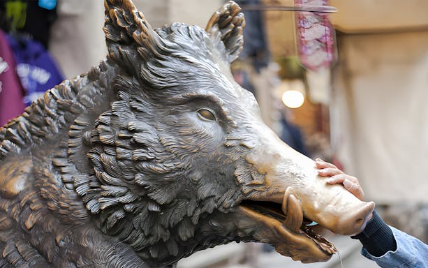 Bronze boar statue Il Porcellino in Florence with a hand touching its snout.