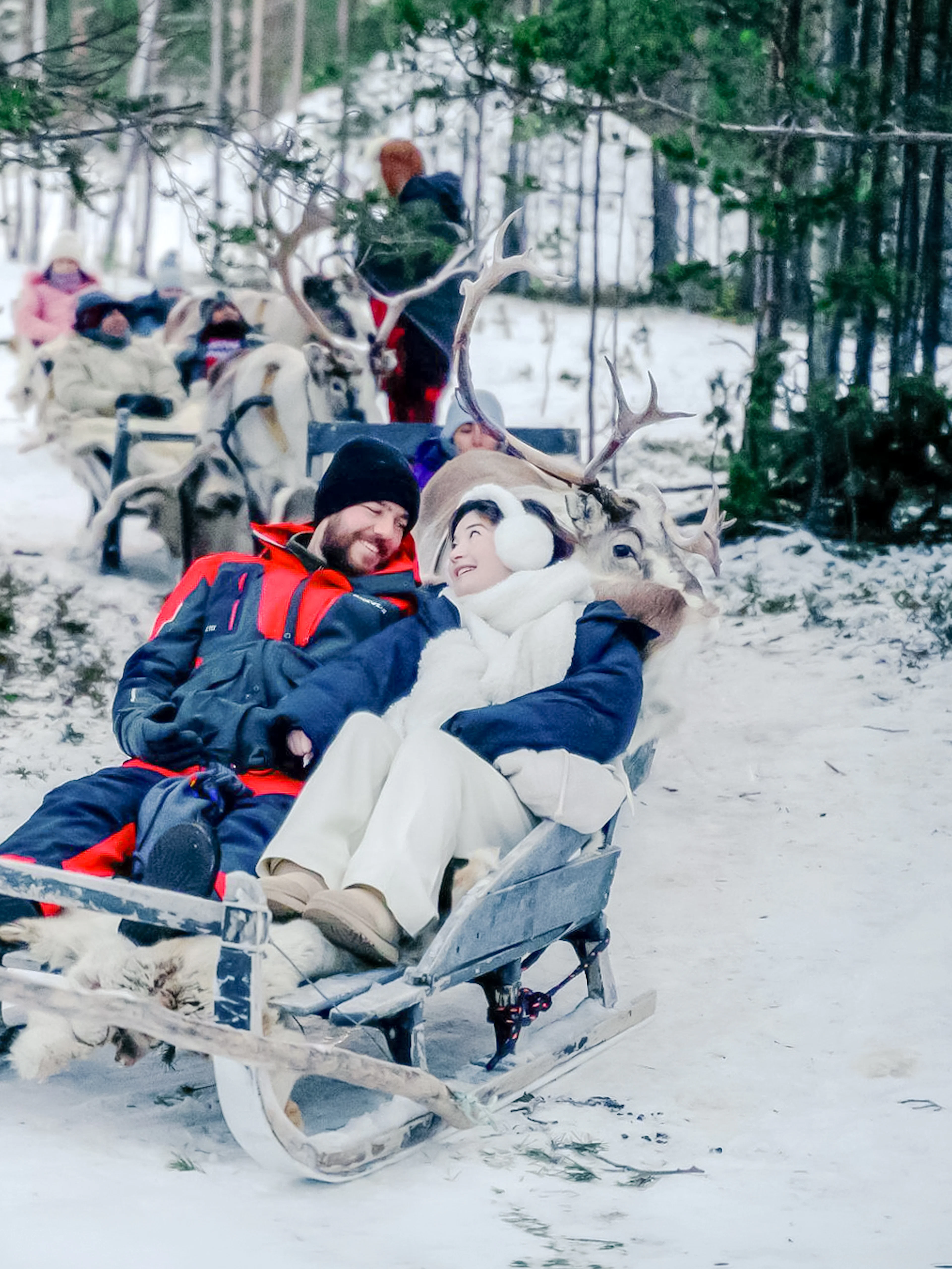 Guests enjoying a reindeer sled ride through snowy forest during Sámi Culture Experience.